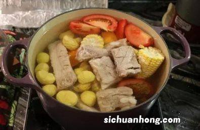 用什么药材煲排骨汤