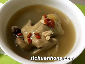 用什么炖鸽子更营养