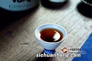 什么季节上市的普洱茶好