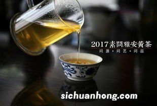 黄汤属于什么茶