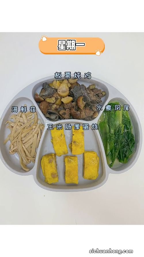 一岁宝宝午餐吃什么好