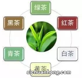 茶叶以什么依据划分