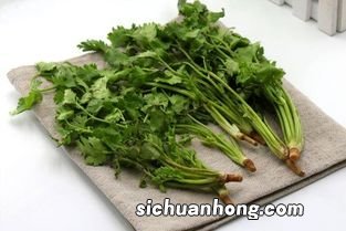 野菊花菜吃有什么好处