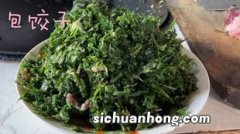 野菜和什么包饺子好吃