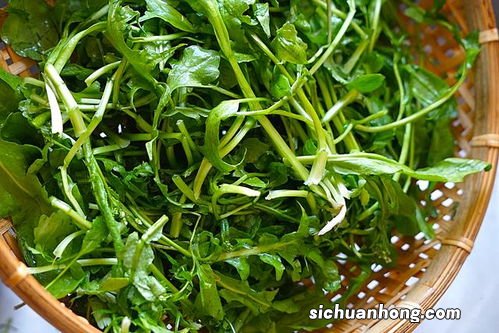 野菜和什么包饺子好吃