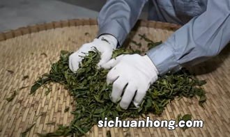 茶叶的发酵度什么意思