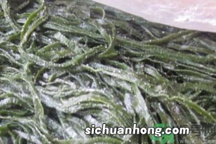 生海带需要煮多久