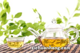 玻璃茶具泡什么绿茶