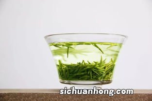 玻璃茶具泡什么绿茶