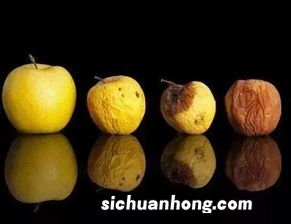 眼球坏了吃什么水果