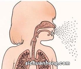 咽炎适合吃什么饭