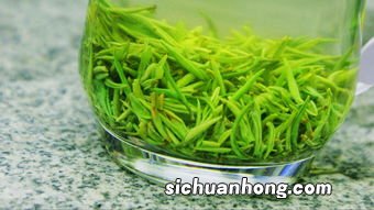 毛尖什么功效与作用