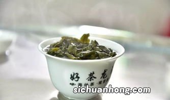 茶什么时候摘最好