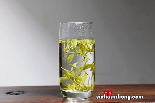 绿茶的鲜爽取决于什么