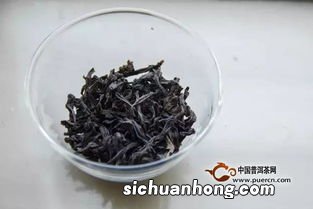 岩茶属于什么品种