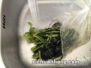 新鲜萝卜叶怎么炒好吃吗