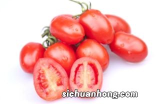 小圣女果叫什么