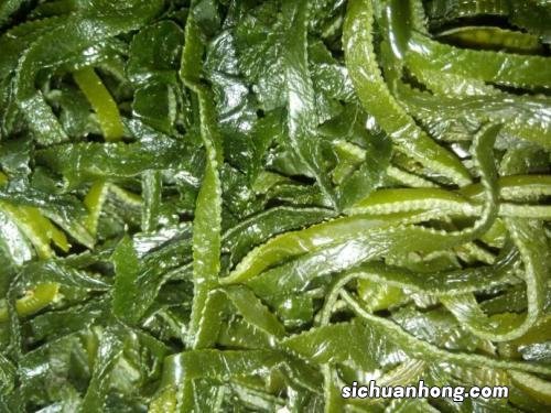 新鲜海草怎么储存