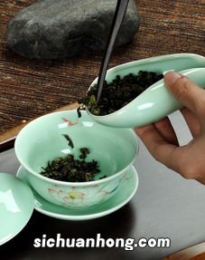 泡茶里的茶荷是什么