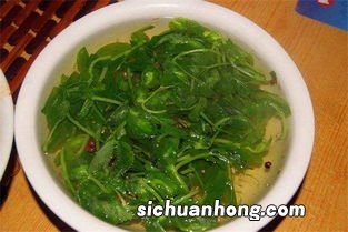 豌豆尖什么人不能吃