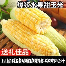 鲜玉米有异味怎么办