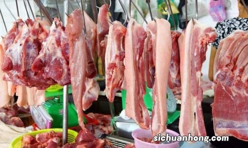 冷冻猪肉能放多久