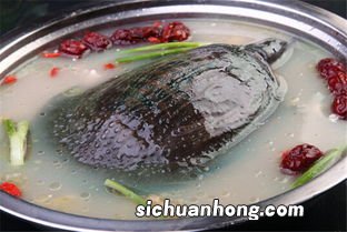 甲鱼适合与什么同食圆肉甲鱼汤