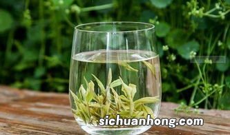 安吉白茶酒什么价