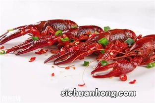 啤酒放龙虾白烧多久