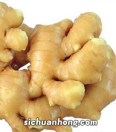 吃什么东西对胃