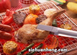 什么用来烧烤好吃