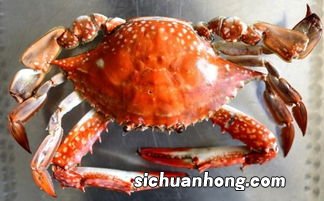 螃蟹不能配什么酒