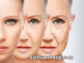 皮肤松弛吃什么食物