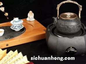 铁壶适合泡什么茶叶