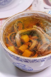 水蛇蝎子煲汤的可以排什么毒