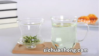 夏天泡茶用什么杯