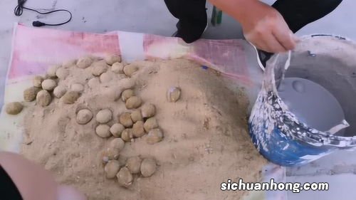 鸡蛋做的变蛋多久能吃