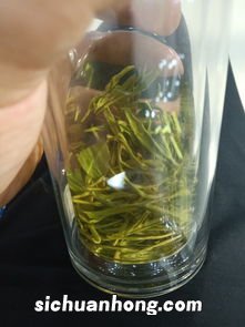 绿茶叫什么名称