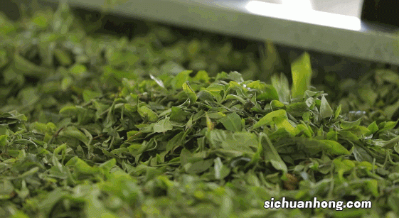 绿茶茶名什么好听