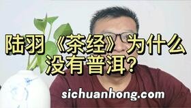 陆羽为什么要写茶经