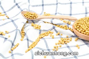 豆类蛋白质有什么特点