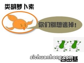 .抗突变是什么意思