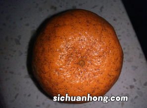 虫屎掉身上预示着什么意思