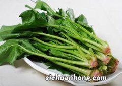 菠菜煮多久给宝宝吃好