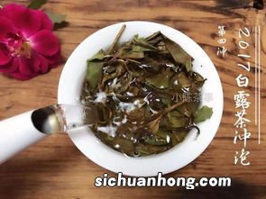 像鱼食一样的茶是什么