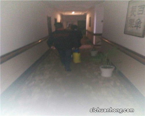 自制杀蟑螂最有效的方法