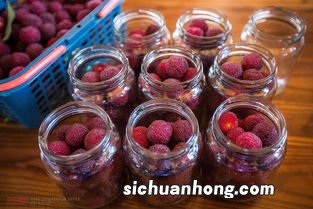 自制杨梅罐头能保存多长时间