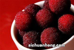 榨汁机可以榨杨梅吗