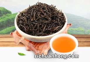 高山金牡丹是什么茶