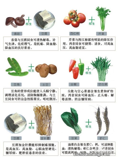 鲤鱼和什么水果相克